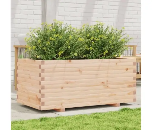 Sodo Lovelis, 110X60X49,5cm Pušies Medienos Masyvas