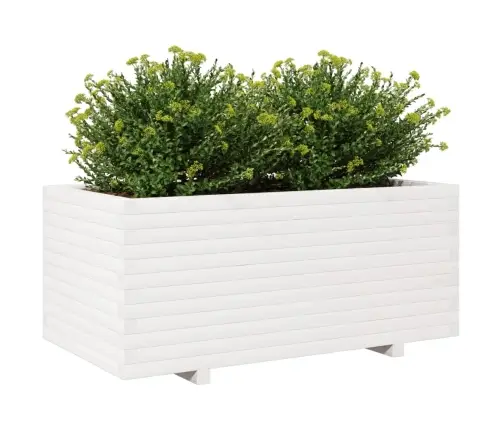 Dārza Puķu Kaste, Balta, 110X60X49,5 Cm, Priedes Masīvkoks Vidaxl