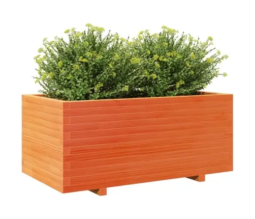 Aia Taimekast, Vahapruun, 110X60X49,5 cm Männipuit