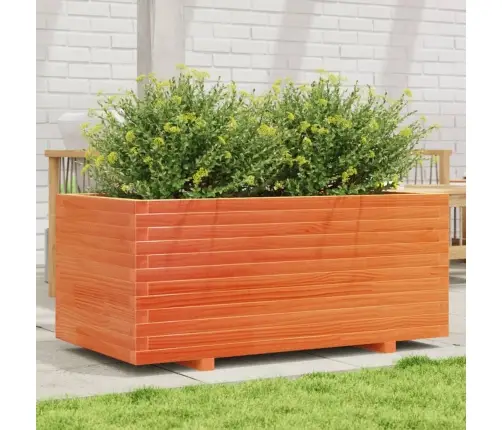 Aia Taimekast, Vahapruun, 110X60X49,5 cm Männipuit