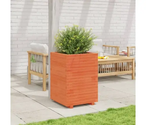 Aia Taimekast, Vahapruun, 50X50X72,5 cm Männipuit