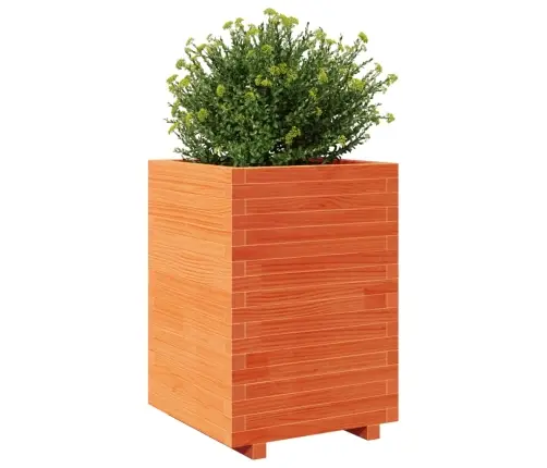 Aia Taimekast, Vahapruun, 50X50X72,5 cm Männipuit