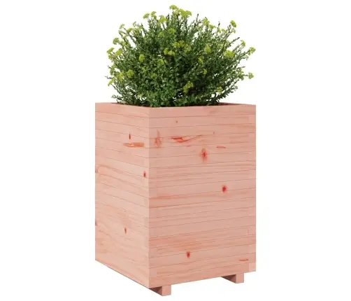 Aia Taimekast, 50X50X72,5 cm Ebatsuuga Puit
