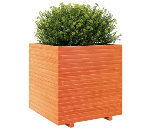 Dārza Puķu Kaste, Vaska Brūnas, 70X70X72,5Cm, Priedes Masīvkoks Vidaxl