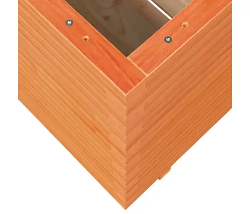 Dārza Puķu Kaste, Vaska Brūnas, 70X70X72,5Cm, Priedes Masīvkoks Vidaxl