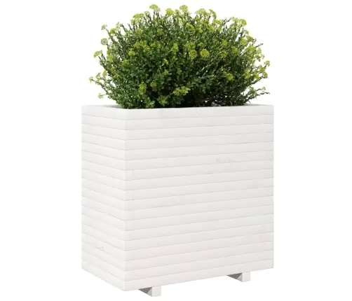 Aia Taimekast, Valge, 70X40X72,5 cm Männipuit
