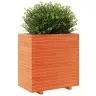 Dārza Puķu Kaste, Vaska Brūnas, 70X40X72,5 Cm Priedes Masīvkoks Vidaxl