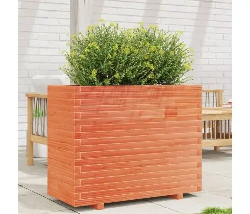 Aia Taimekast, Vahapruun, 90X40X72,5 cm Männipuit