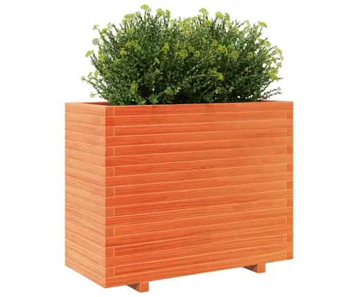 Aia Taimekast, Vahapruun, 90X40X72,5 cm Männipuit