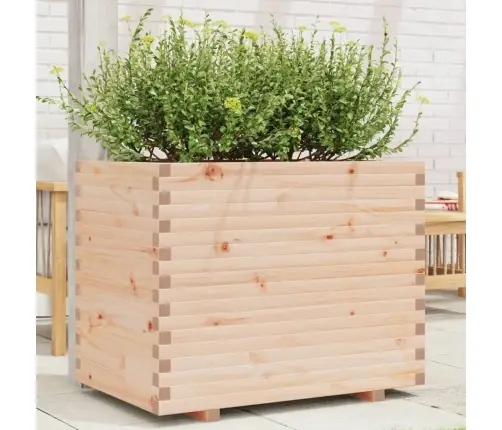 Aia Taimekast, 90X60X72,5 cm Männipuit