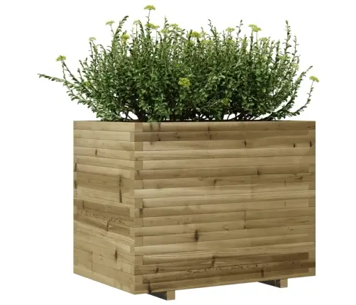 Aia Taimekast, 90X60X72,5 cm Immutatud Männipuit