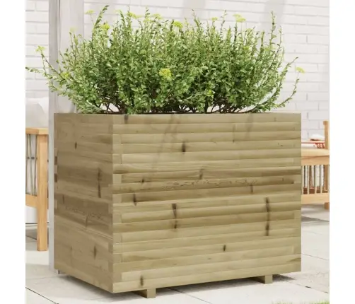 Aia Taimekast, 90X60X72,5 cm Immutatud Männipuit