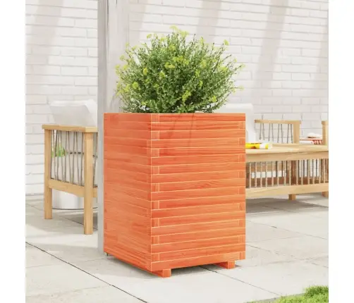 Aia Taimekast, Vahapruun, 50X50X72 cm Männipuit