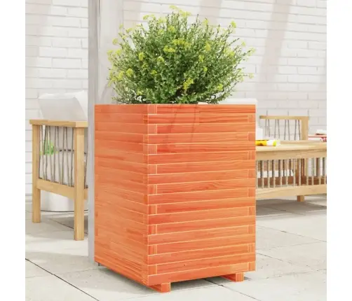 Aia Taimekast, Vahapruun, 50X50X72 cm Männipuit