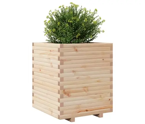 Aia Taimekast, 60X60X72 cm Toekas Männipuit