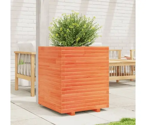 Aia Taimekast, Vahapruun, 60X60X72 cm Männipuit