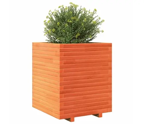 Aia Taimekast, Vahapruun, 60X60X72 cm Männipuit