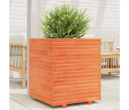 Aia Taimekast, Vahapruun, 60X60X72 cm Männipuit