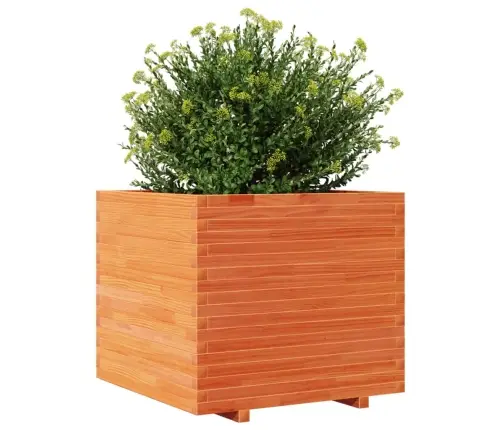 Sodo Lovelis, Vaško Rudas, 80X80X72cm Pušies Medienos Masyvas