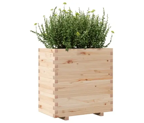 Sodo Lovelis, 70X40X72cm Pušies Medienos Masyvas