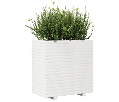 Sodo Lovelis, Baltas, 70X40X72cm Pušies Medienos Masyvas