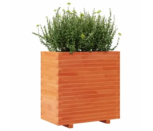Dārza Puķu Kaste, Vaska Brūnas, 70X40X72 Cm, Priedes Masīvkoks Vidaxl