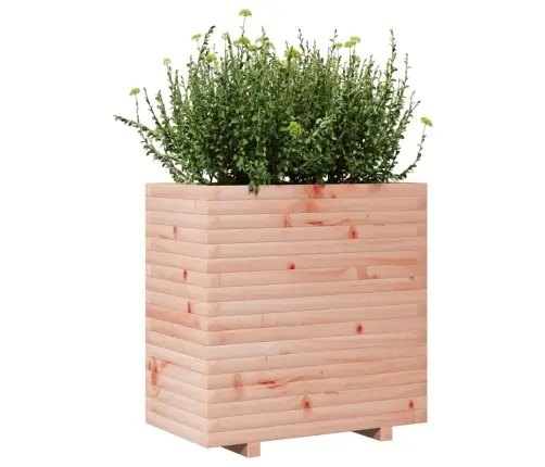 Aia Taimekast, 70X40X72 cm Ebatsuuga Puit