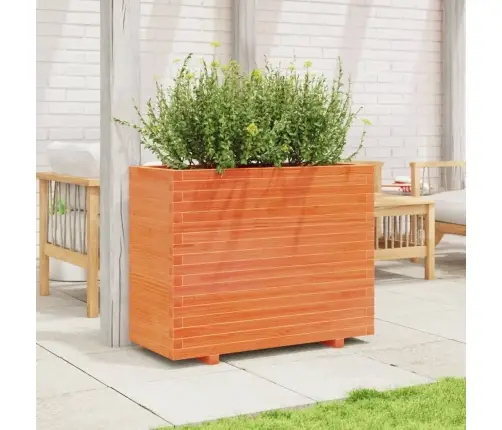 Aia Taimekast, Vahapruun, 90X40X72 cm Männipuit