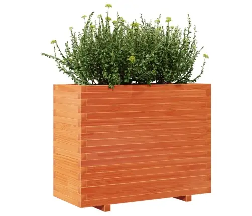 Aia Taimekast, Vahapruun, 90X40X72 cm Männipuit