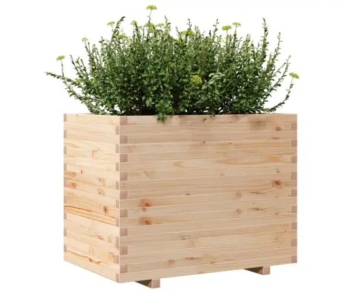 Aia Taimekast, 90X60X72 cm Männipuit