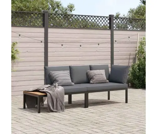 2-Osaline Aiadiivani Komplekt Patjadega, Must, Alumiinium