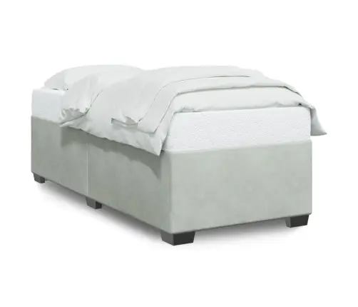 Gulta Bez Matrača, Gaiši Pelēks, 100X200 Cm, Samts Vidaxl