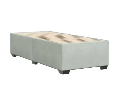 Gulta Bez Matrača, Gaiši Pelēks, 100X200 Cm, Samts Vidaxl