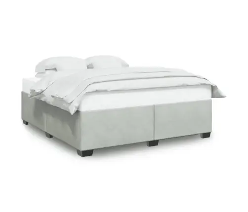 Gulta Bez Matrača, Gaiši Pelēks, 200X200 Cm, Samts Vidaxl