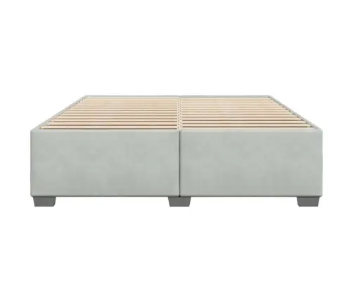 Gulta Bez Matrača, Gaiši Pelēks, 200X200 Cm, Samts Vidaxl