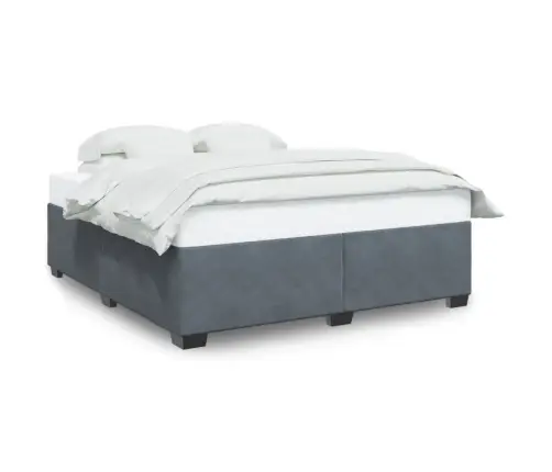 Gulta Bez Matrača, Tumši Pelēks, 200X200 Cm, Samts Vidaxl