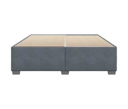 Gulta Bez Matrača, Tumši Pelēks, 200X200 Cm, Samts Vidaxl