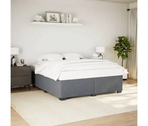 Gulta Bez Matrača, Tumši Pelēks, 200X200 Cm, Samts Vidaxl