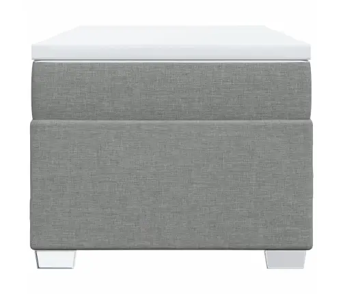 Lova Su Spyruoklėmis Ir Čiužiniu, Pilka, 100X200cm Audinys