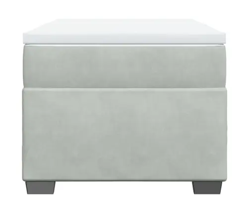 Atsperu Gulta Ar Matraci, Gaiši Pelēka Samts, 100X200 Cm Vidaxl