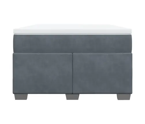 Atsperu Gulta Ar Matraci, Tumši Pelēks Samts, 120X190 Cm Vidaxl