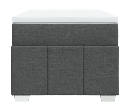 Lova Su Spyruoklėmis Ir Čiužiniu, Tamsiai Pilka, 80X200 Cm