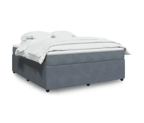 Lova Su Spyruoklėmis Ir Čiužiniu, Pilka, 180X200 cm Aksomas