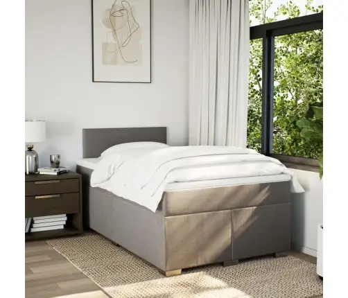 Lova Su Spyruoklėmis Ir Čiužiniu, Taupe, 120X200 cm Audinys