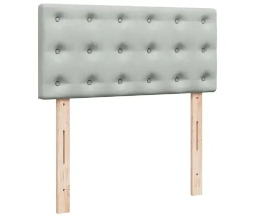 Lova Su Spyruoklėmis Ir Čiužiniu, Pilka, 80X200cm Aksomas