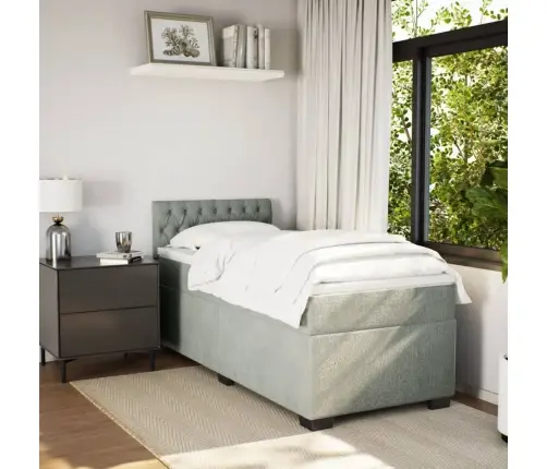 Lova Su Spyruoklėmis Ir Čiužiniu, Pilka, 100X200 cm Aksomas