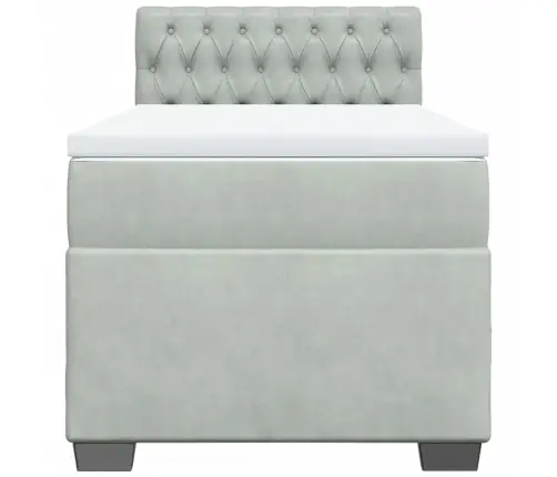 Lova Su Spyruoklėmis Ir Čiužiniu, Pilka, 100X200 cm Aksomas