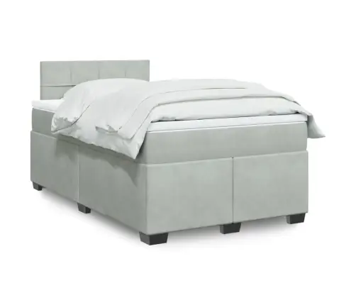 Lova Su Spyruoklėmis Ir Čiužiniu, Pilka, 120X190cm Aksomas