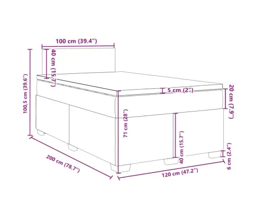 Lova Su Spyruoklėmis Ir Čiužiniu, Pilka, 120X200cm Aksomas