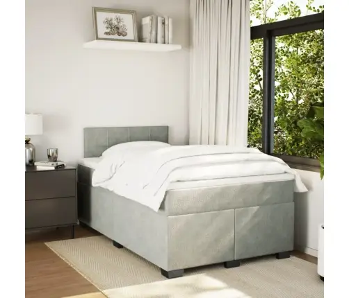 Lova Su Spyruoklėmis Ir Čiužiniu, Pilka, 120X200cm Aksomas